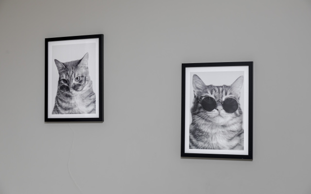 Апартаменты на Луговой 24/3