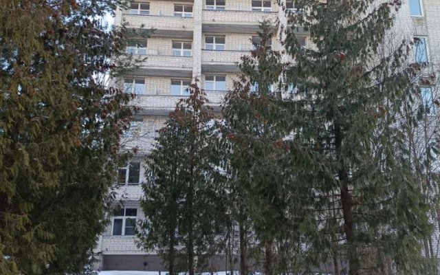 Sosnovy Bor Hotel
