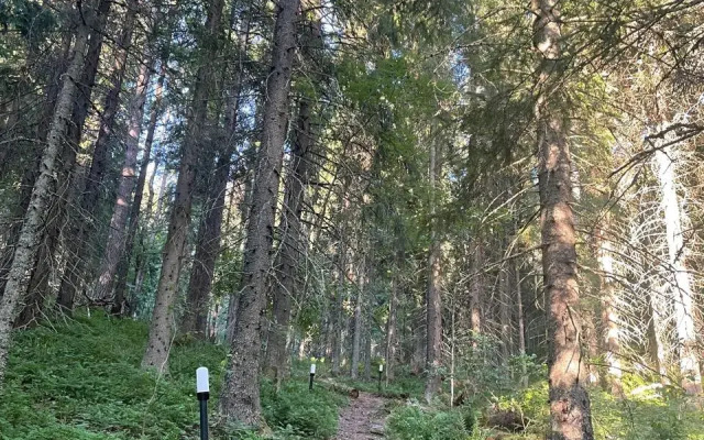 Letnyaya Komnata Na Dache Dolos Private House