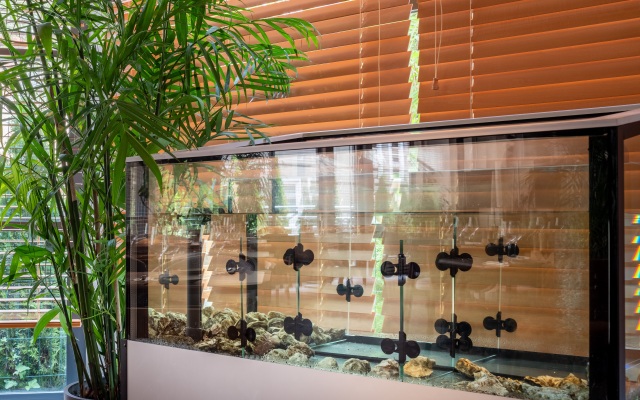 Amber Shore Collection Hotel