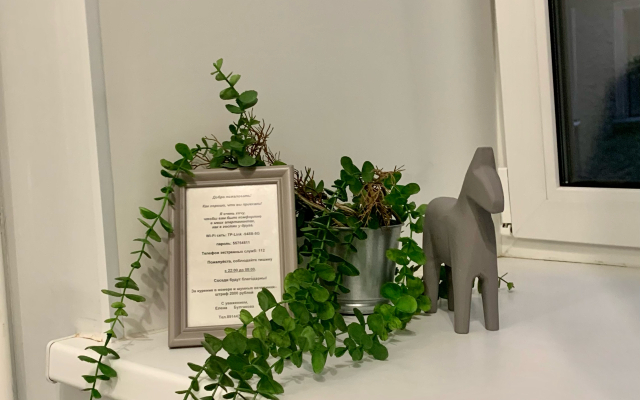 Квартира на ул. Конная 8