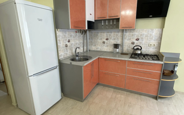 Квартира Большая Студия для Семьи с Ребенком на Дмитриевой