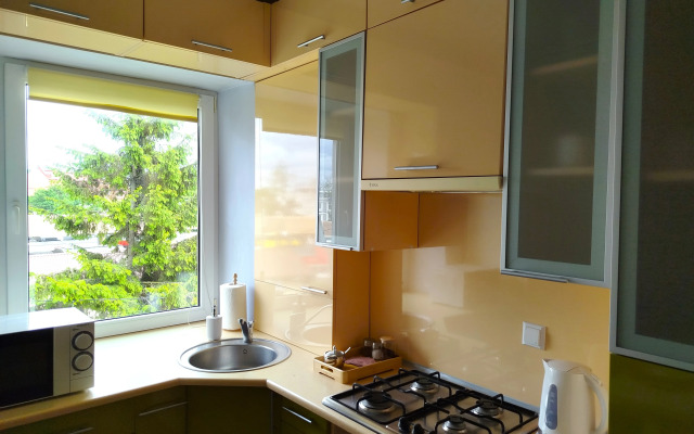 V tsentre Zelenogradska v 5 minutakh ot morya Apartments