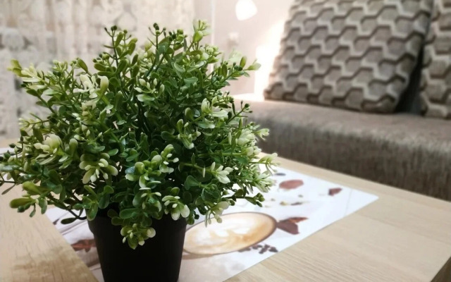 Квартира на улице Ольги Жилиной 58