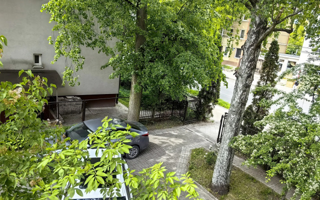 Uyut V Istoricheskom Tsentra Amalienau Flat
