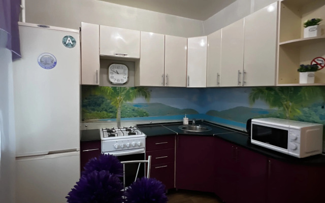 Odnokomnatnaya Aleksandrovskiy 5 Flat