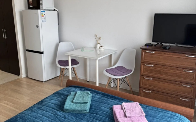 Uyutnaya studiya Flat