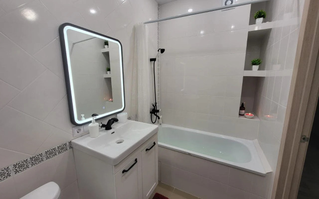 Квартира 1-к на Караульной