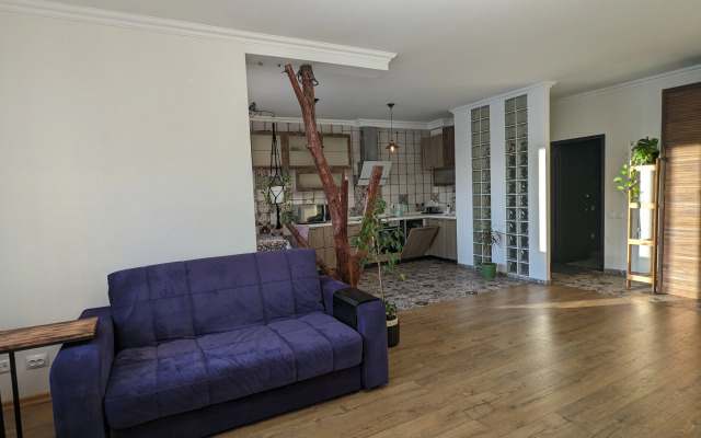 Апартаменты Студия с камином, деревом и видом на реку