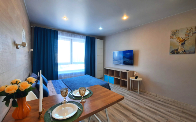 Pervaya Studiya Na Laryushina 6k2 Apartments