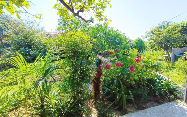 Anita Guest House