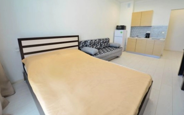 Квартира на Пионерской улице 1