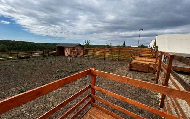 Zooglemping V Tulskoy Oblasti Glamping