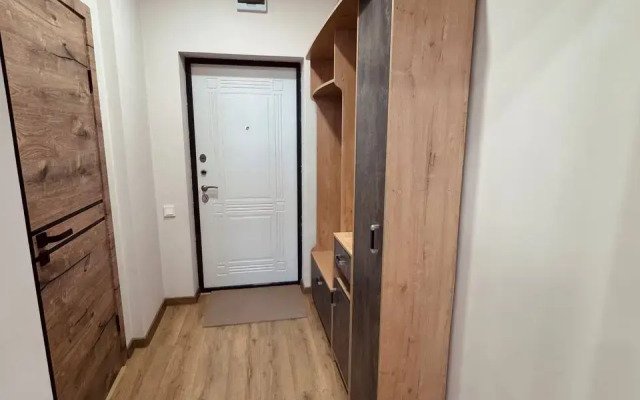 Uyutnaya V Zhk Vostochnye Vorota Flat
