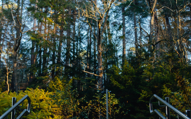 Апартаменты Rauschen Green Lake