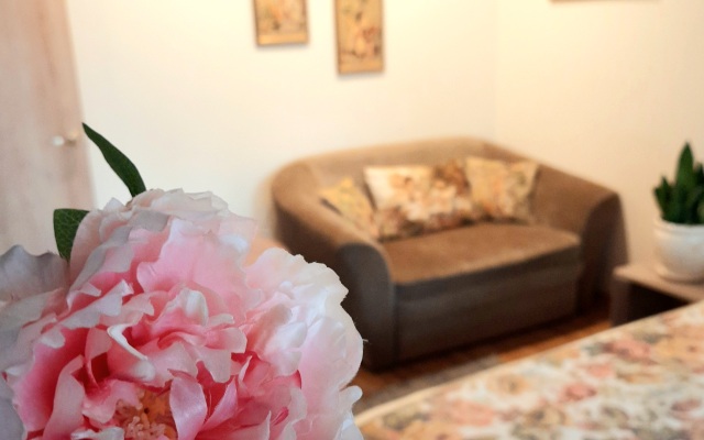 Квартира Двухкомнатная в Историческом Центре Амалиенау 1