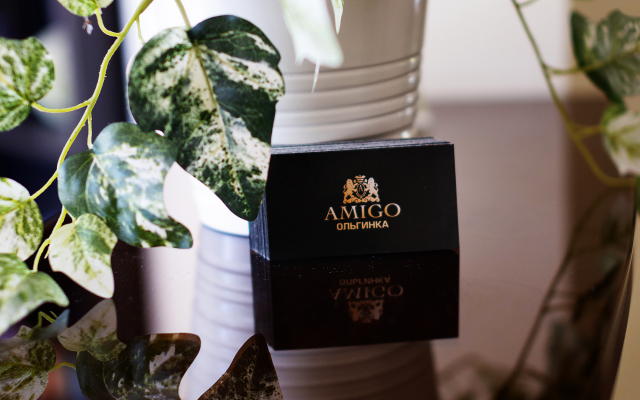 Amigo Na Morskoj Guest house
