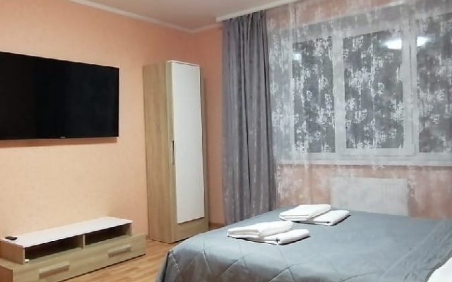 Kvartira S Lodzhiey U Vokzala Apartments