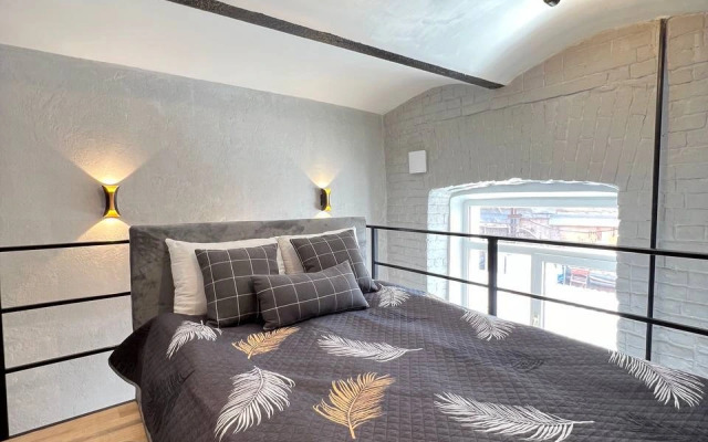 Apartamenty Uyutnaya studiya Grey Cat u Naberezhnoj reki Yauzy