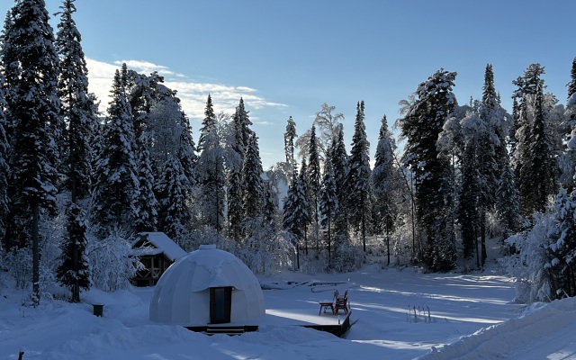 Глэмпинг Алтай Forest Glamp