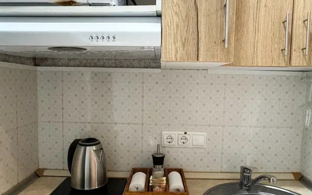 Апартаменты Светлые у Метро Варшавская Ск6