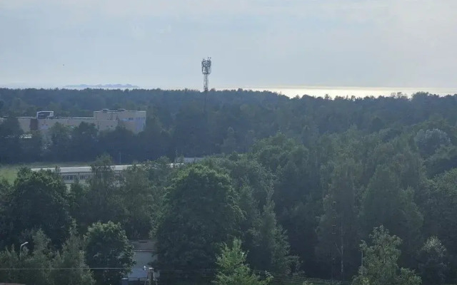 Prostornaya Dvukhkomnatnaya Na 10 Etazhe Flat