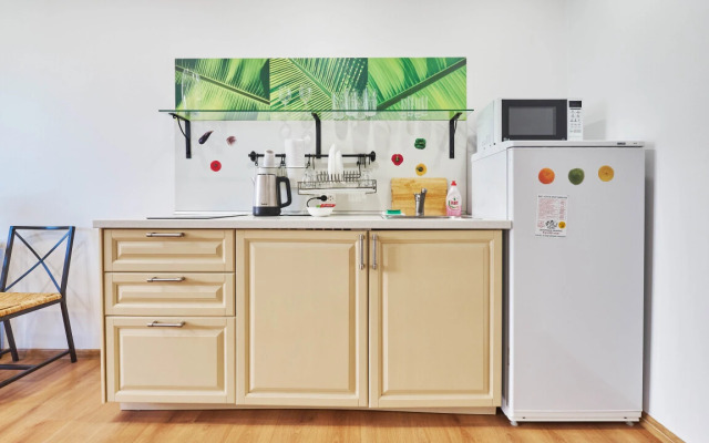 Апартаменты Петровские на Советской 90 (2)