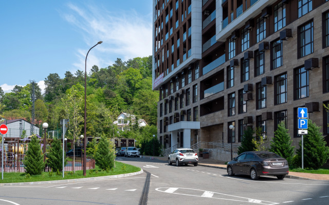 Апартаменты просторные в Дагомысе