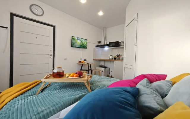 Studiya Na 2kh Na Tukhachevskogo 49/1-13 Flat