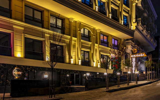 Отель Cosinus Airport