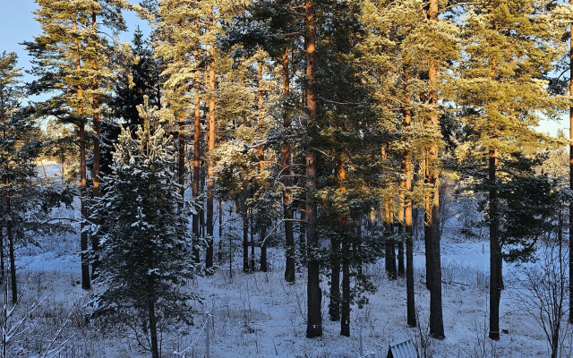 Коттедж Черничный Склон Small House