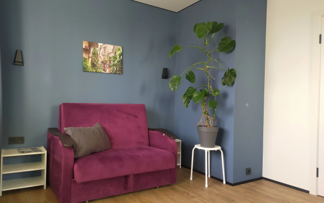 V Tsentre Goroda Flat