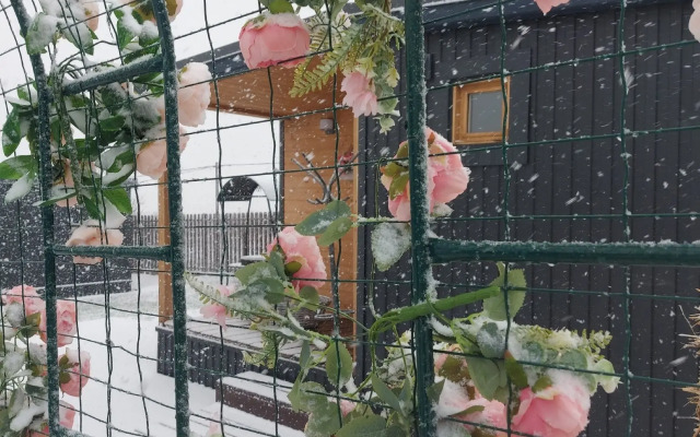 Private House Dom Dlya Chetverykh