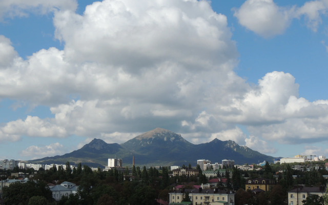 Umnaya S Alisoy Na Tsvetnike Flat