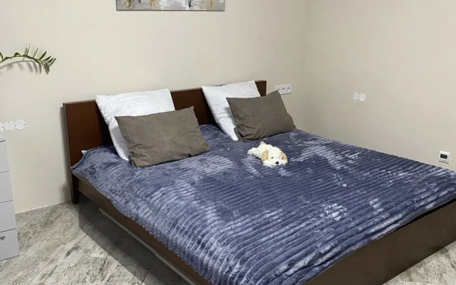 Квартира Причал у Черной речки