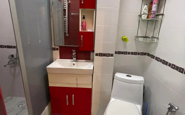 V Tsentre Baku Flat