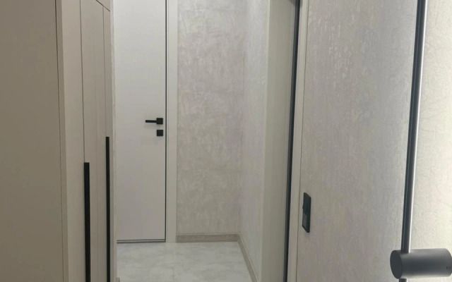 2-h Komnatnaya Ryadom s Centrom Flat