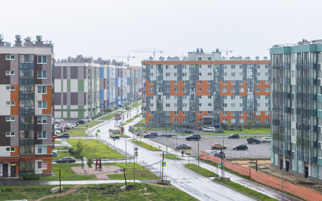 Mini Mi V Yanino Flat