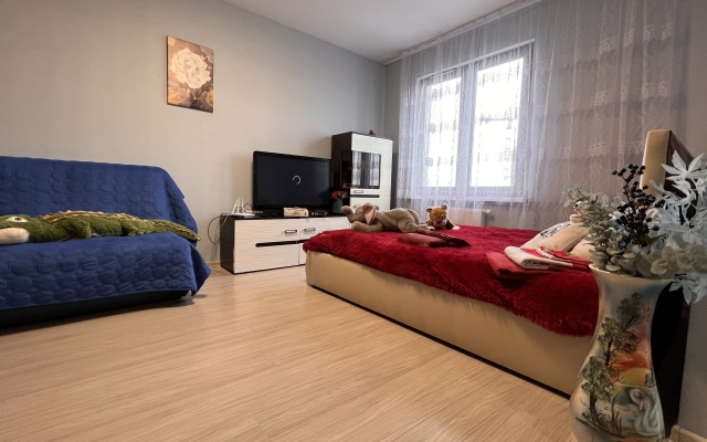 Апартаменты Квартира с видом на Город