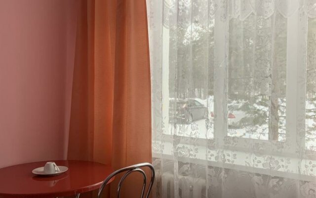 Gostinica Aeroport Murmansk