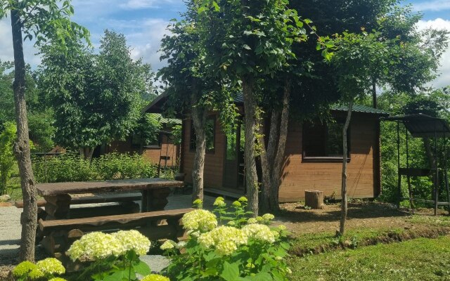 Baza Otdykha Park Otdykha lesnoye Ozero