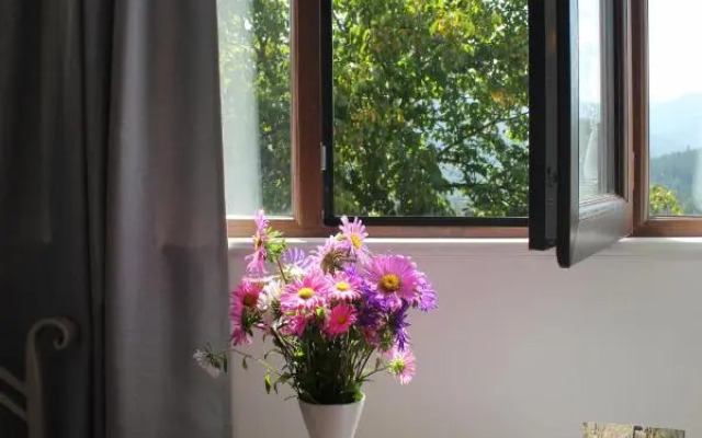 Guest house Toon Armeni