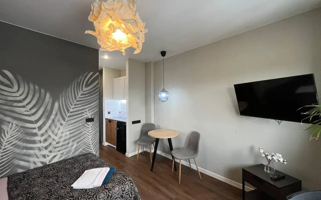 Апартаменты Дрим Апартменс 522 Улучшенный номер-студио