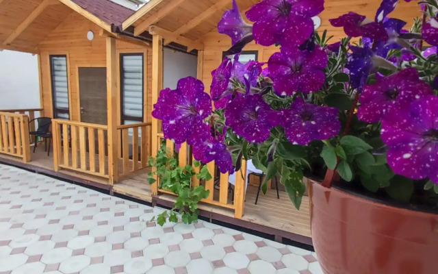Belaya Lebed Mini-Hotel