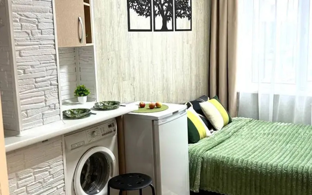 Квартира Студия 100 метров от метро