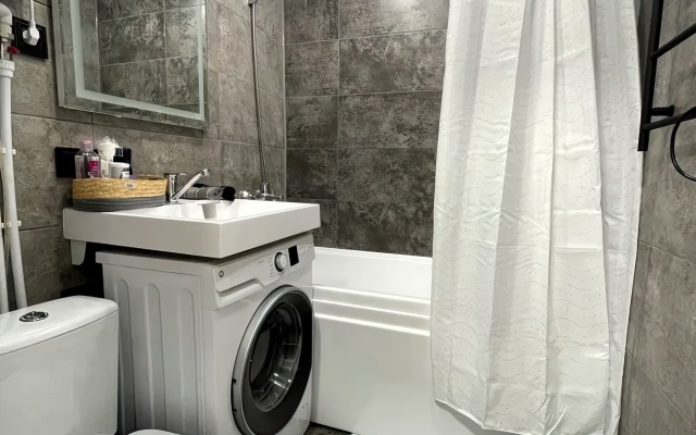 Апартаменты в Центре Города с Новым Ремонтом