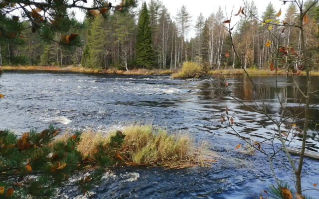 Гостевой дом Меличуярви Лось