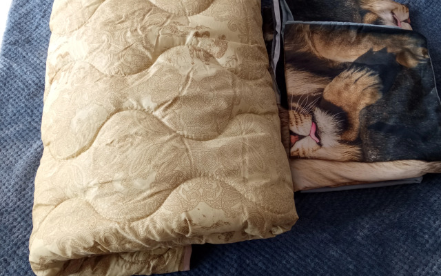 Квартира северная звезда 1