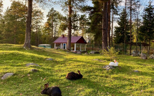 База отдыха Эко Хутор Рай Сяля