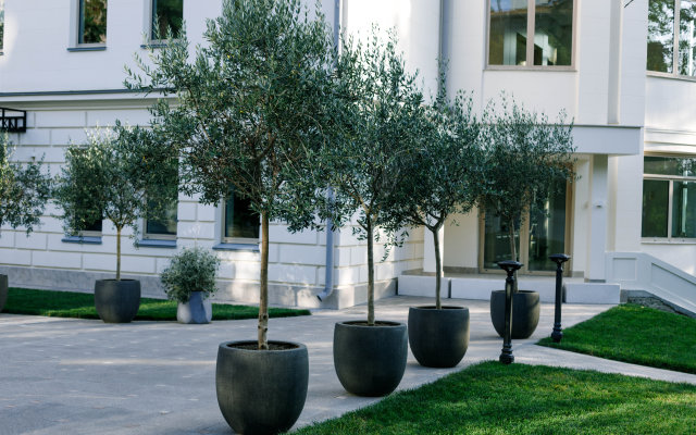 Grand Royal Residences Apartment Complex